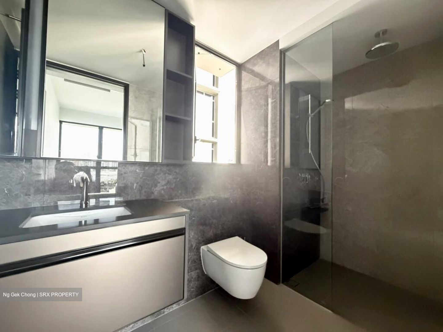 Tembusu Grand (D15), Condominium #516724371
